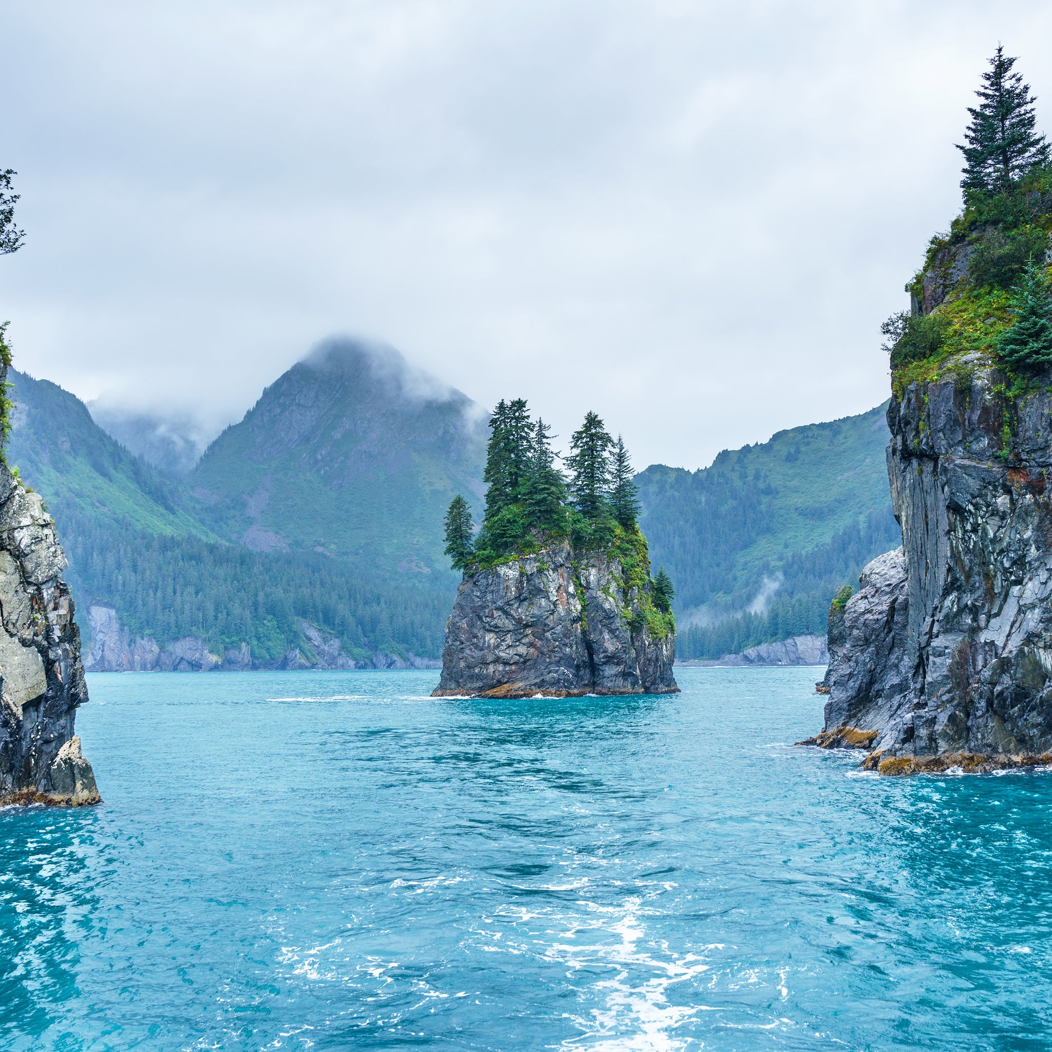 Albums 90+ Images porcupine bay in kenai fjords national park Sharp