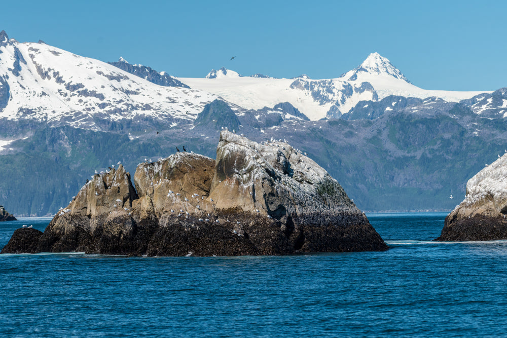 Small Rock Formations in Ocean Leading Up to Large Glaciers in Kanai Fjords National Park