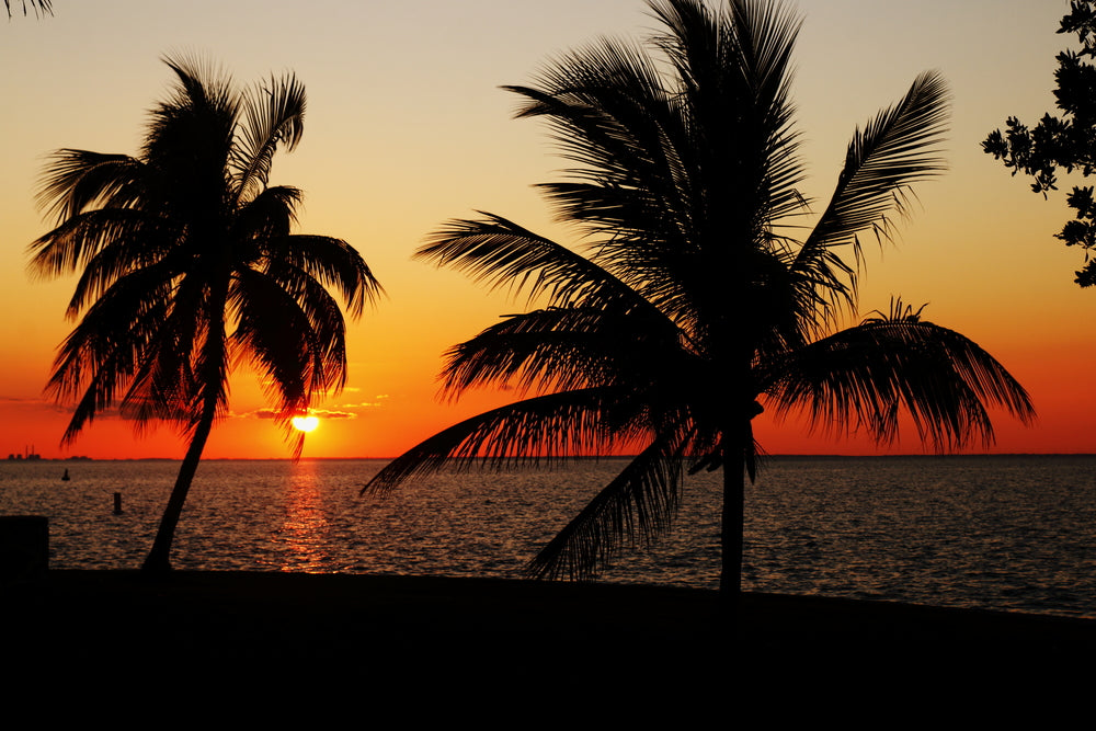 Sunset at Biscayne National Park Florida