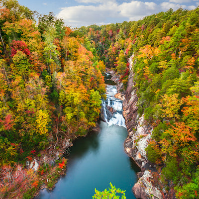 Tallulah Gorge State Park Georgia