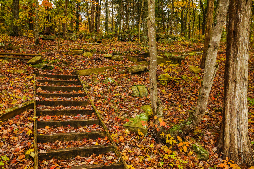 Turnhole Bend Trail in Mammoth Cave National Park of Kentucky