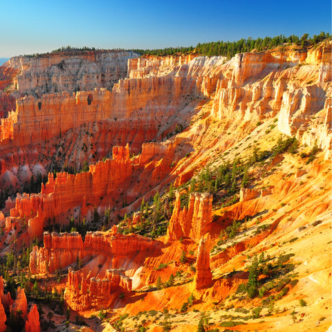 View of Bryce Canyon During the day in sunlight