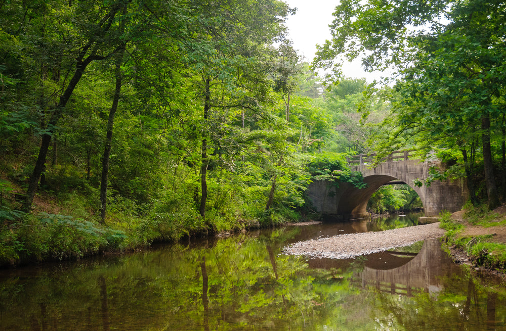 View of River Forest and Stone Bridge in Hot Springs National Park Arkansas USA