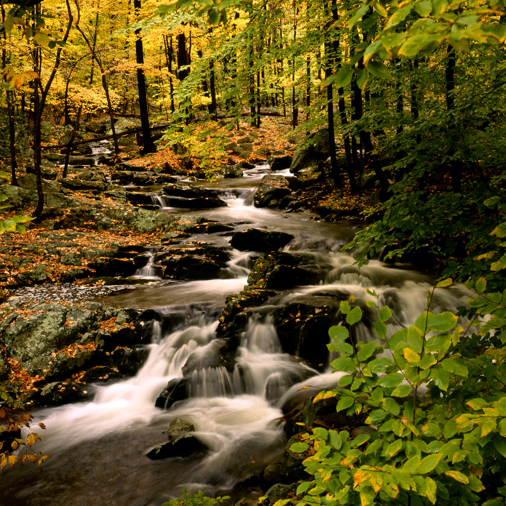 View of Stream Cascading Down Rocks in Harriman State Park New York