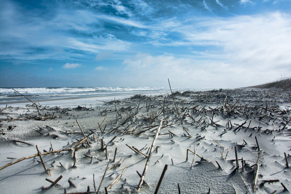 View of Sunny Day at Beach Anastasia State Park Florida