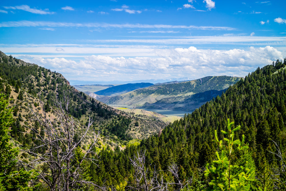 View of Sunny Day Overlooking Mountains in Lewis and Clark Caverns State Park Montana