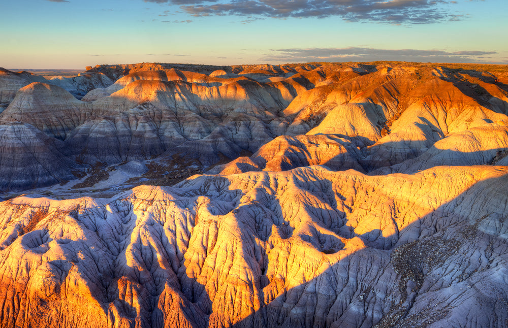 View of Sunset in Blue Forest in Petrified Forest National Park Arizona