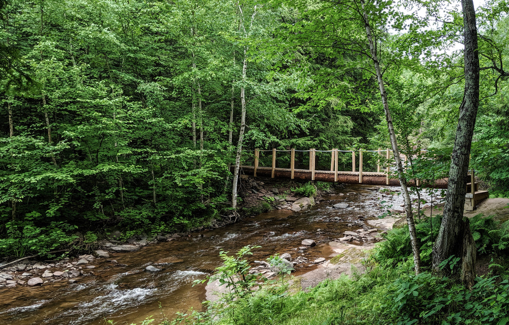 View of Wooden Foot Bridge Porcupine Mountains Wilderness State Park Michigan