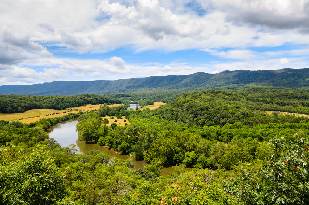 View on Sunny Day of Shenandoah River in Shenandoah River State Park Virginia