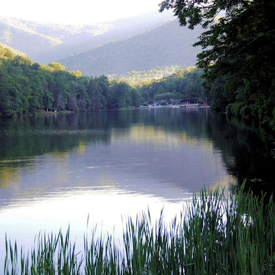 Vogel State Park Georgia