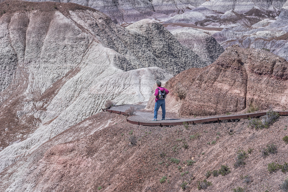 Woman Blue Mesa Trail in Petrified Forest National Park