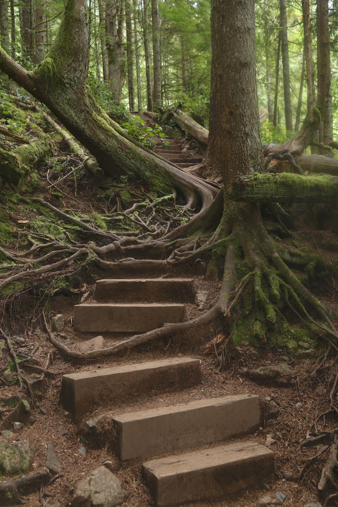 Wooden Hiking Trail to Upper Wallace Falls in Wallace Falls State Park Washington