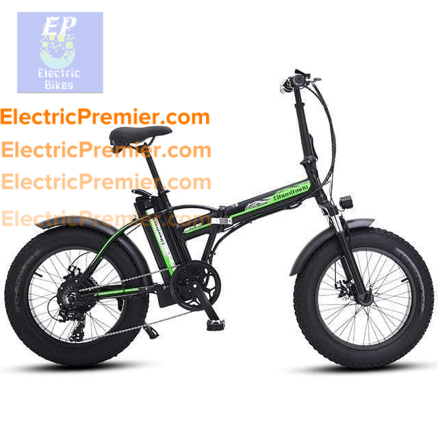 electric bike model