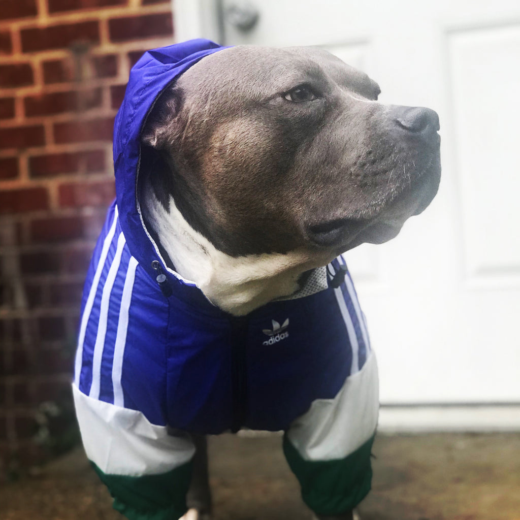 adidas dog jacket