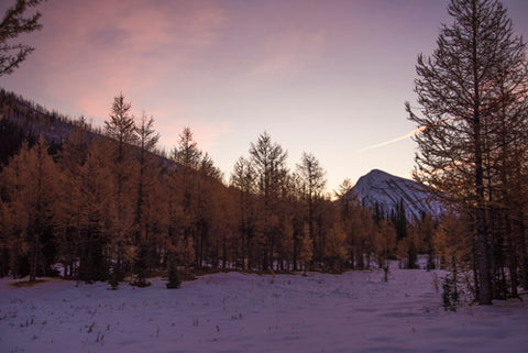 Oh that sky! and even more larches October 2018 Numa Pass