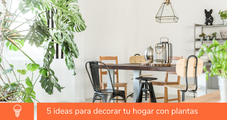 6 macetas de interior ideales para decorar tu hogar