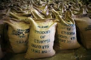 ethiopia coffee organic sidamo fair trade