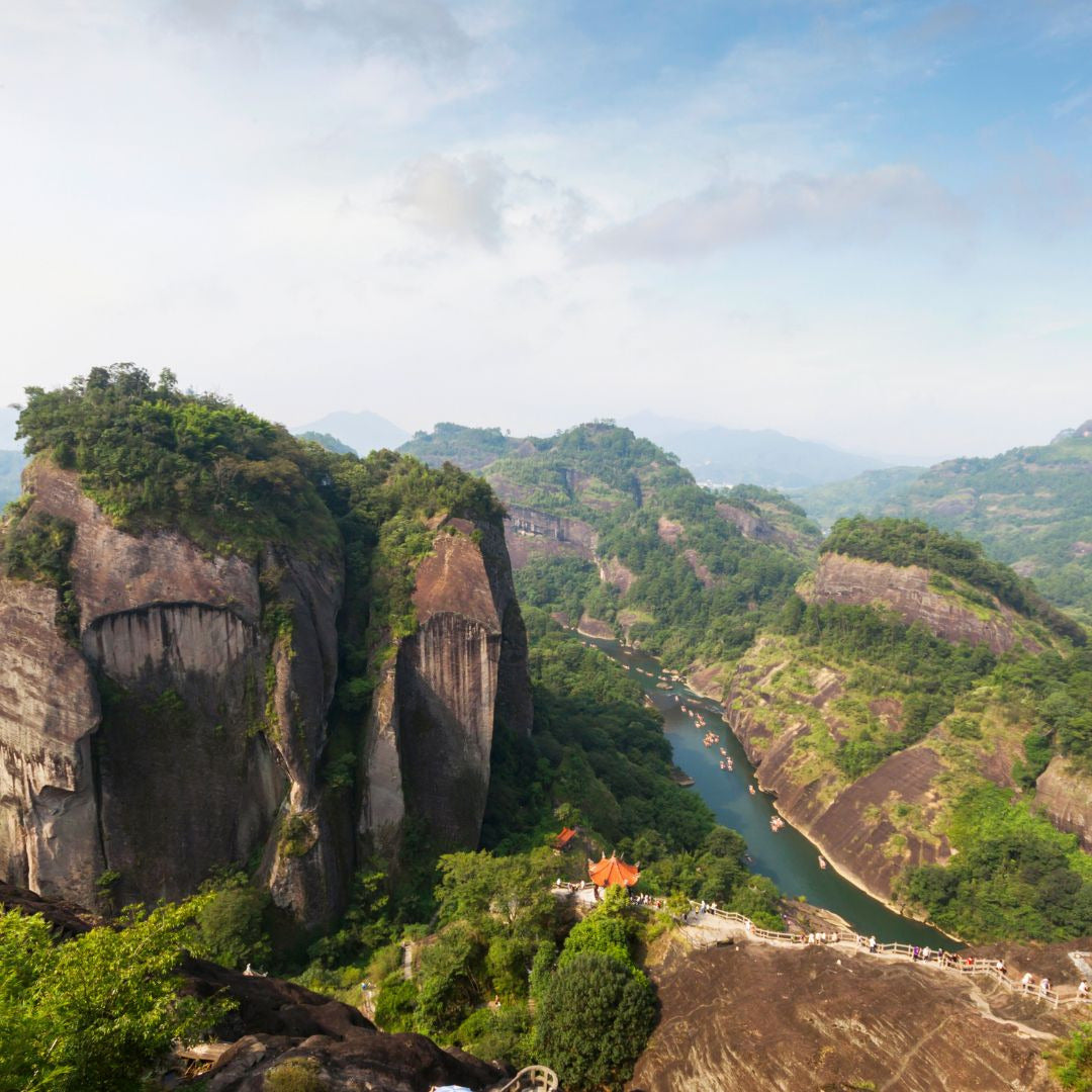 Zheng Shan Xiao Zhong (Zheng Mountain, small leaf)