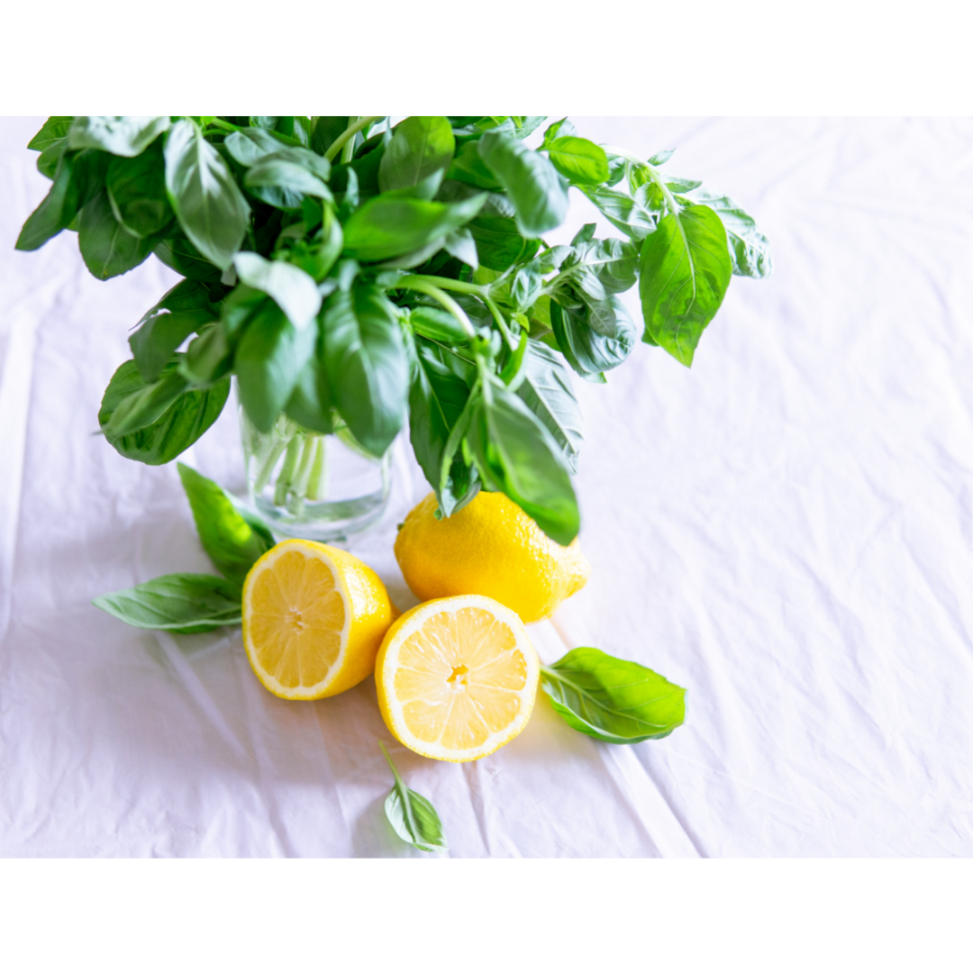 Lemon Basil