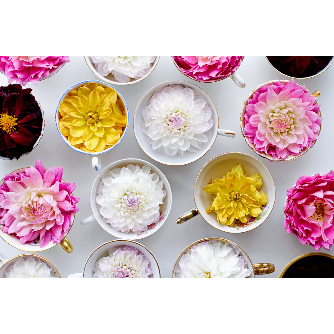 Thailand, Thé des Offrandes (offerings of tea)