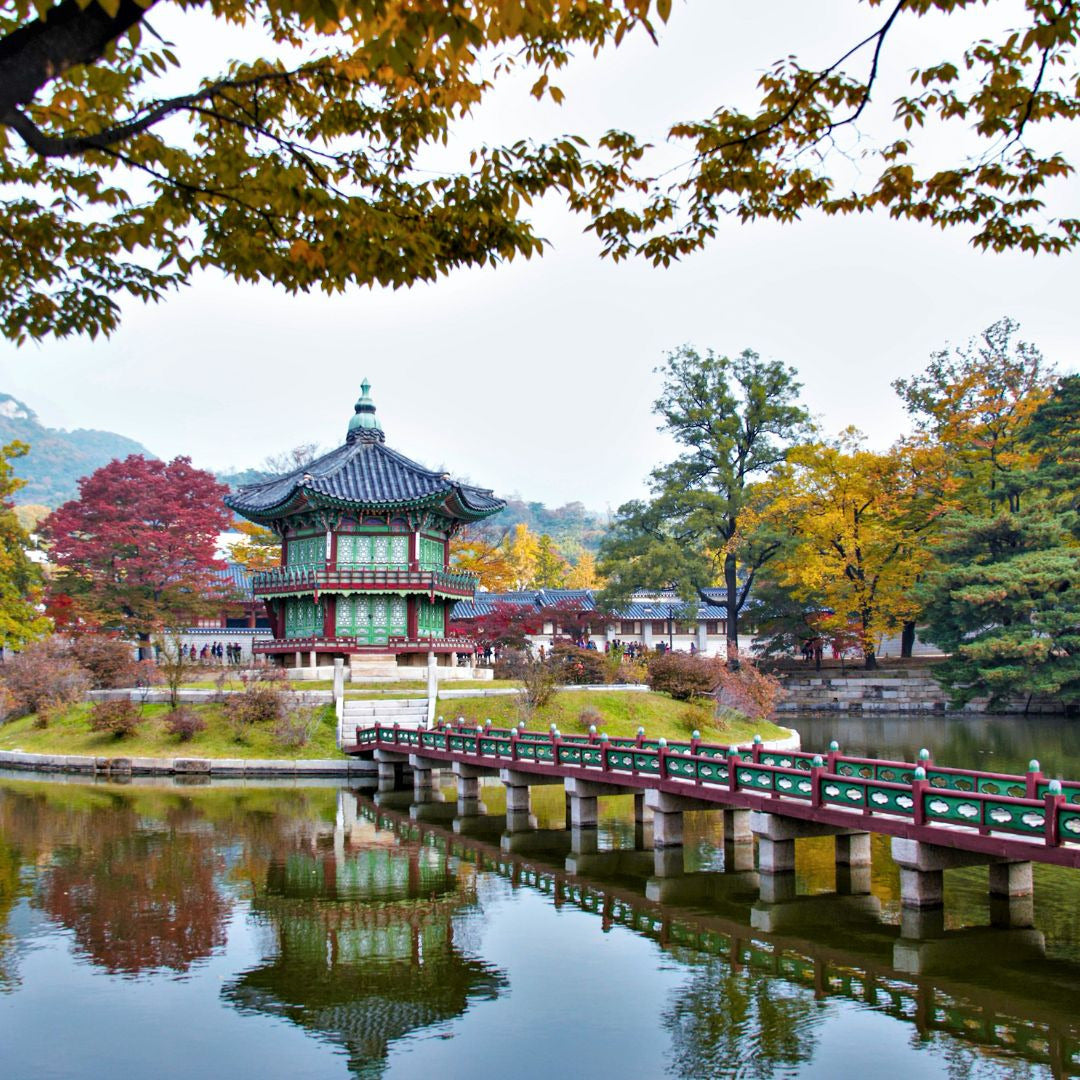 Korea, Thé de l'Aube (Tea of the Dawn)