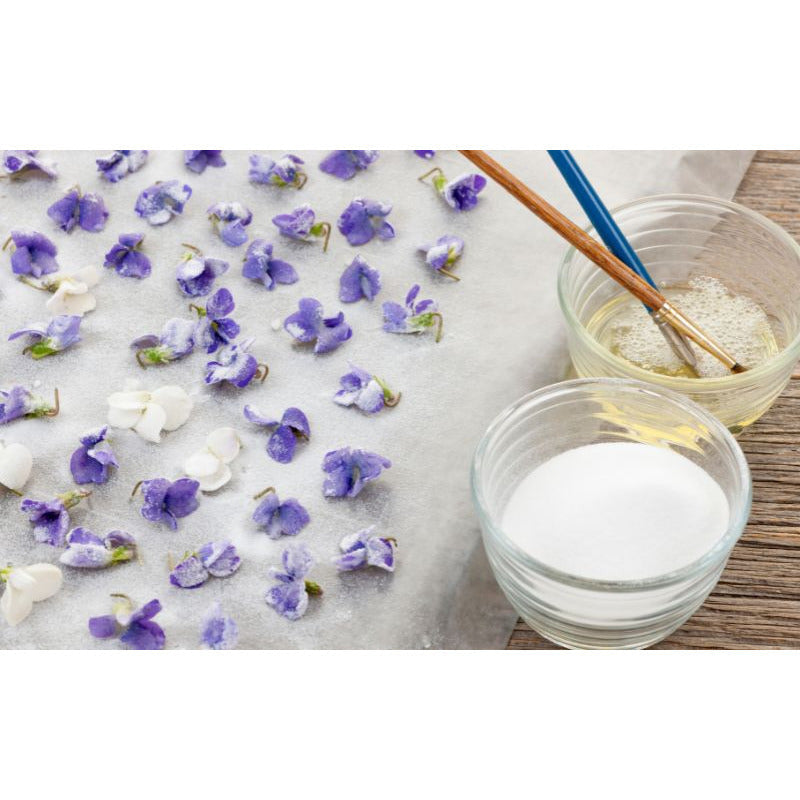 French Traditional Violet (violette) Candies