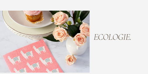 Only 4.80 usd for Now Designs, Ecologie Swedish Sponge Cloths, Flamingos