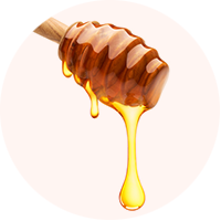 The Human Bean Honey