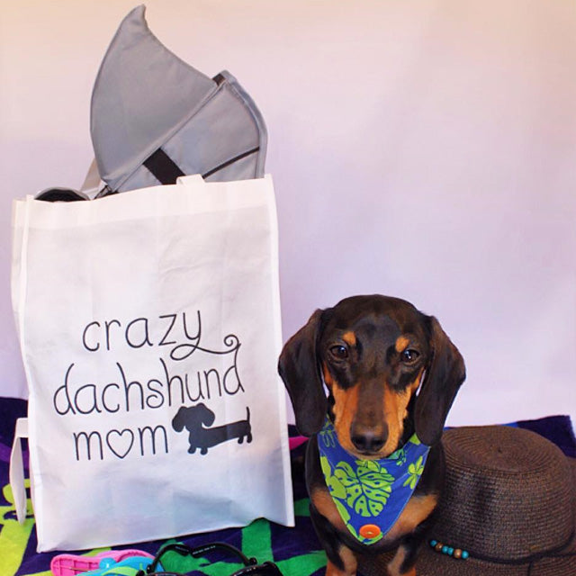 doxie mom 19