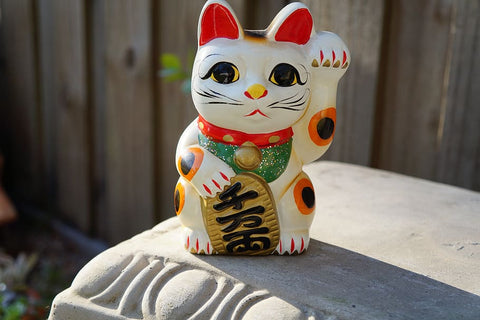 lucky charm cat