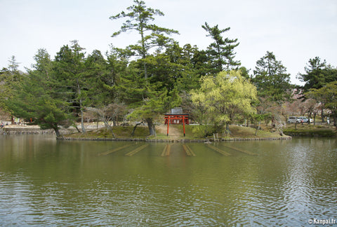 Todai Ji Torii