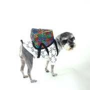 Pucci Rainbow Backpack Harness