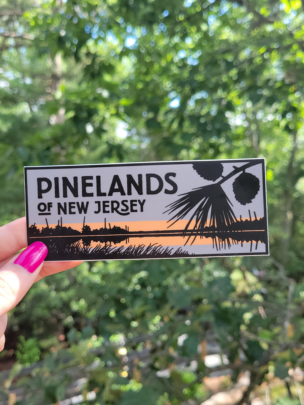 SALE- Pine Barren of New Jersey Tee – Woodford Cedar Run Wildlife