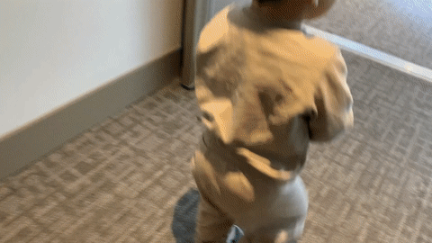bebé sosteniendo su tazón giroscópico con bocadillos adentro mientras camina