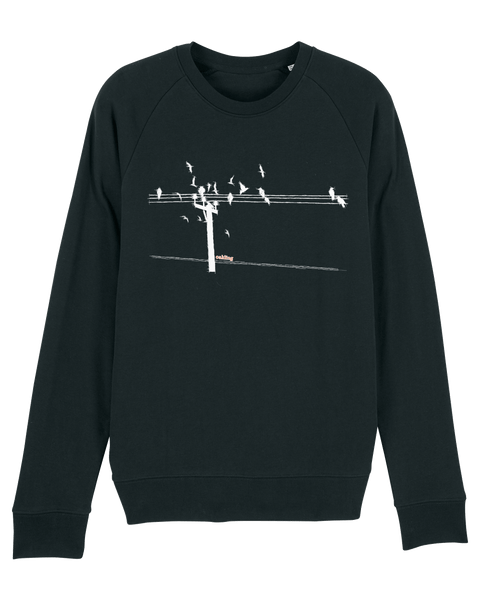 Organic Raglan Sweatshirt - The Birds Black