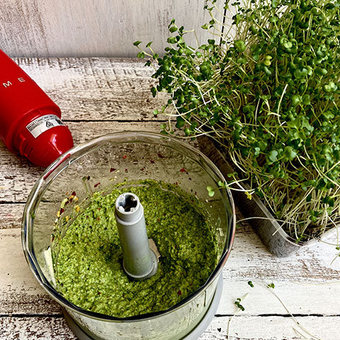 broccoli sprout pesto