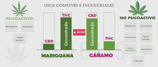 CBD vs THC