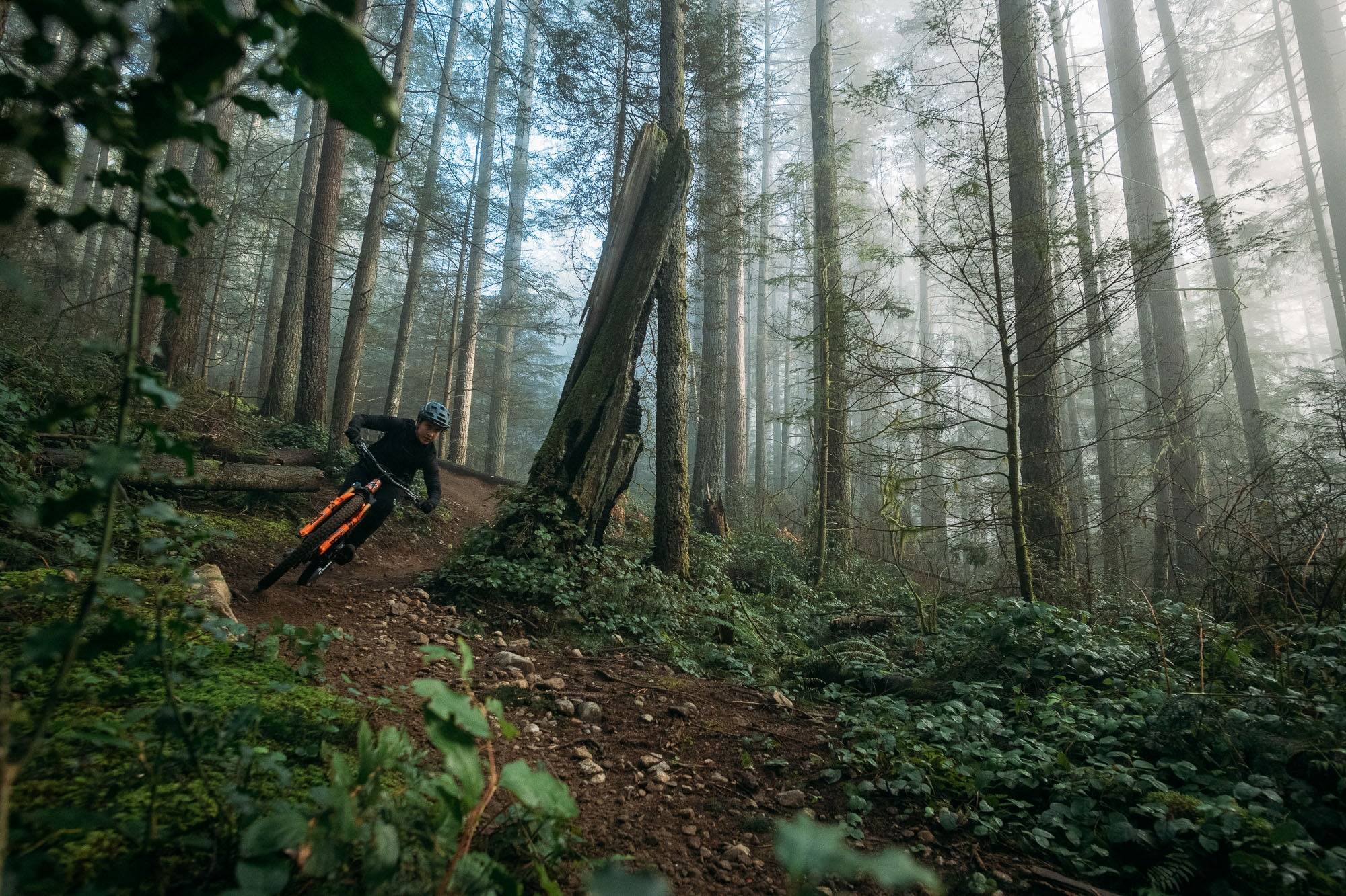 ALN riding in North Vancouver