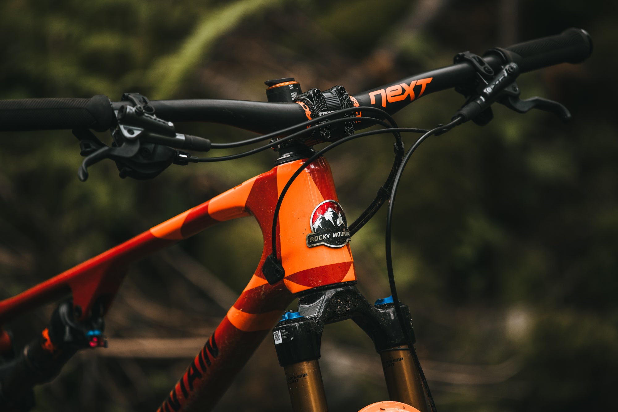 Felix Burke's 2022 Element Carbon