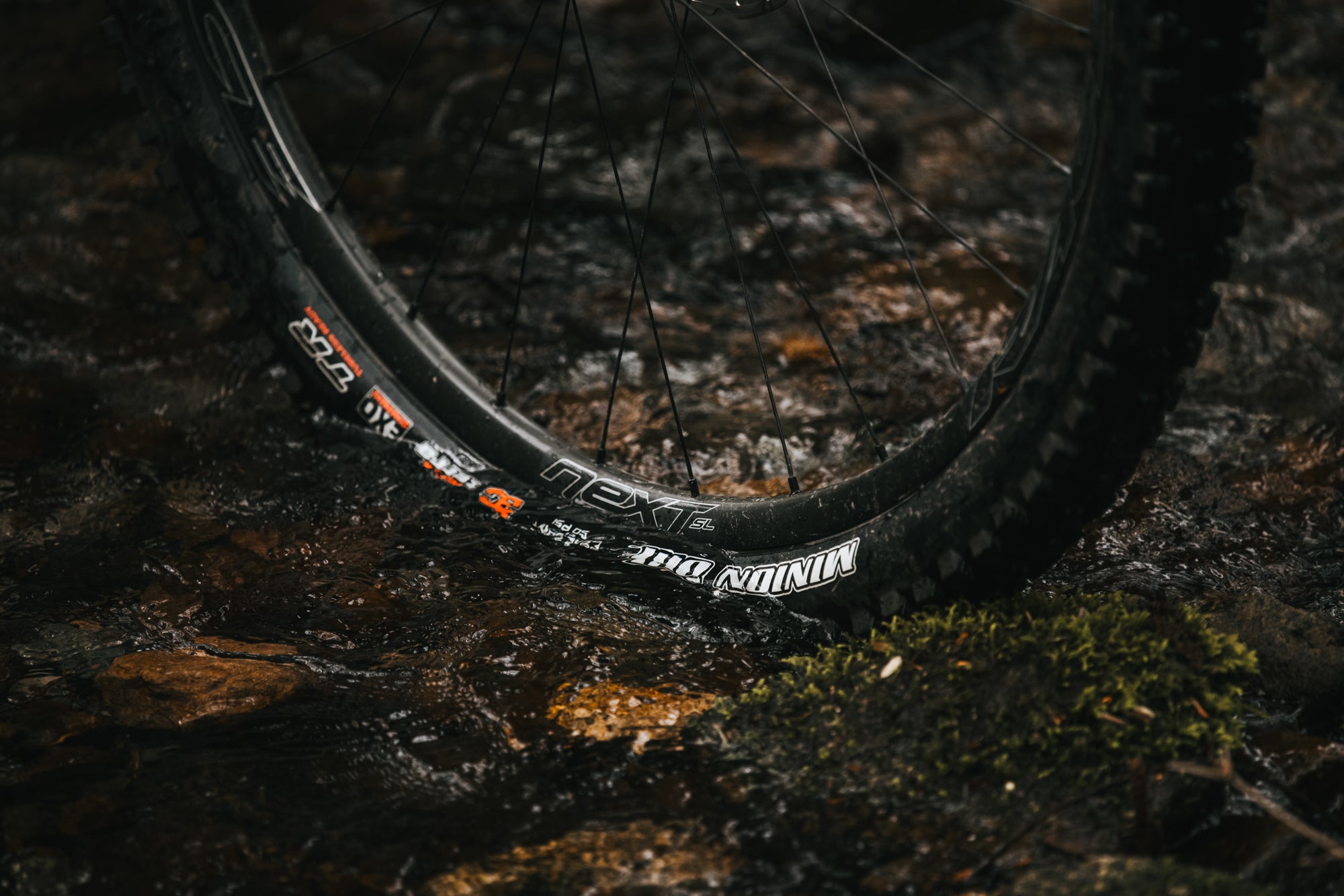 Felix Burke's 2022 Element Carbon