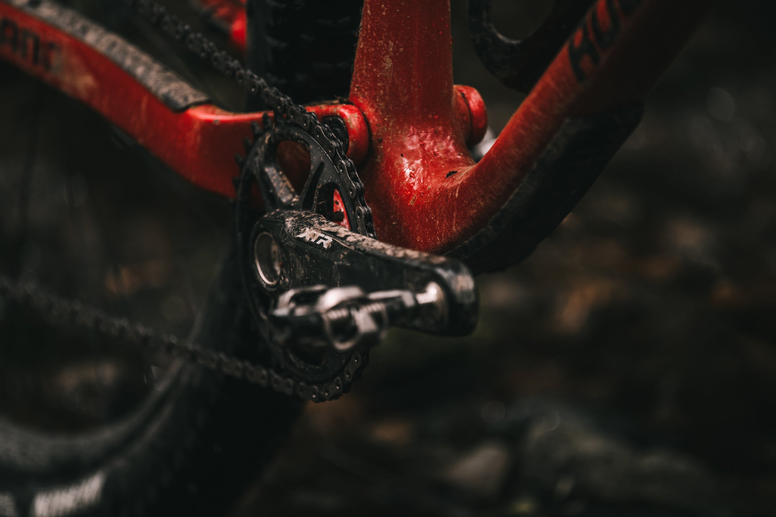 Felix Burke's 2022 Element Carbon