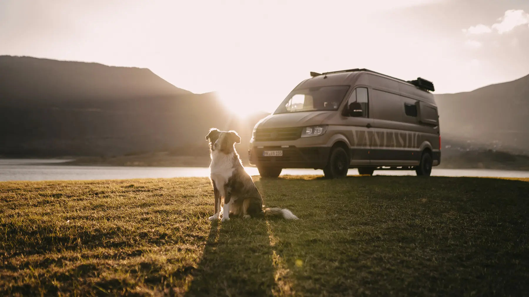 Ein Reiseblog über das Reisen mit Hund Linus von AniSwiss