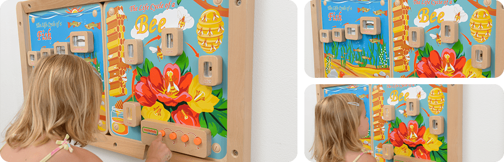 The board containing real life specimens encapsulated in clear acrylic blocks which allow children to closely look into details.