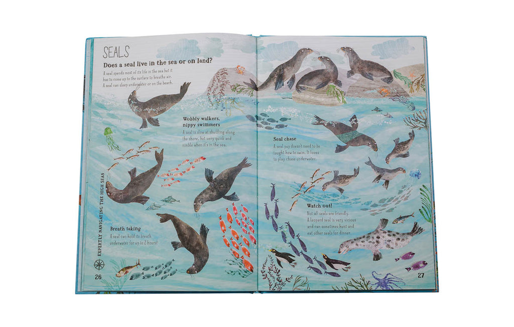 The Big Book Of Blue | Childrens Book – Auckland Zoo