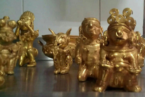 Hallazgos de oro de la evolución