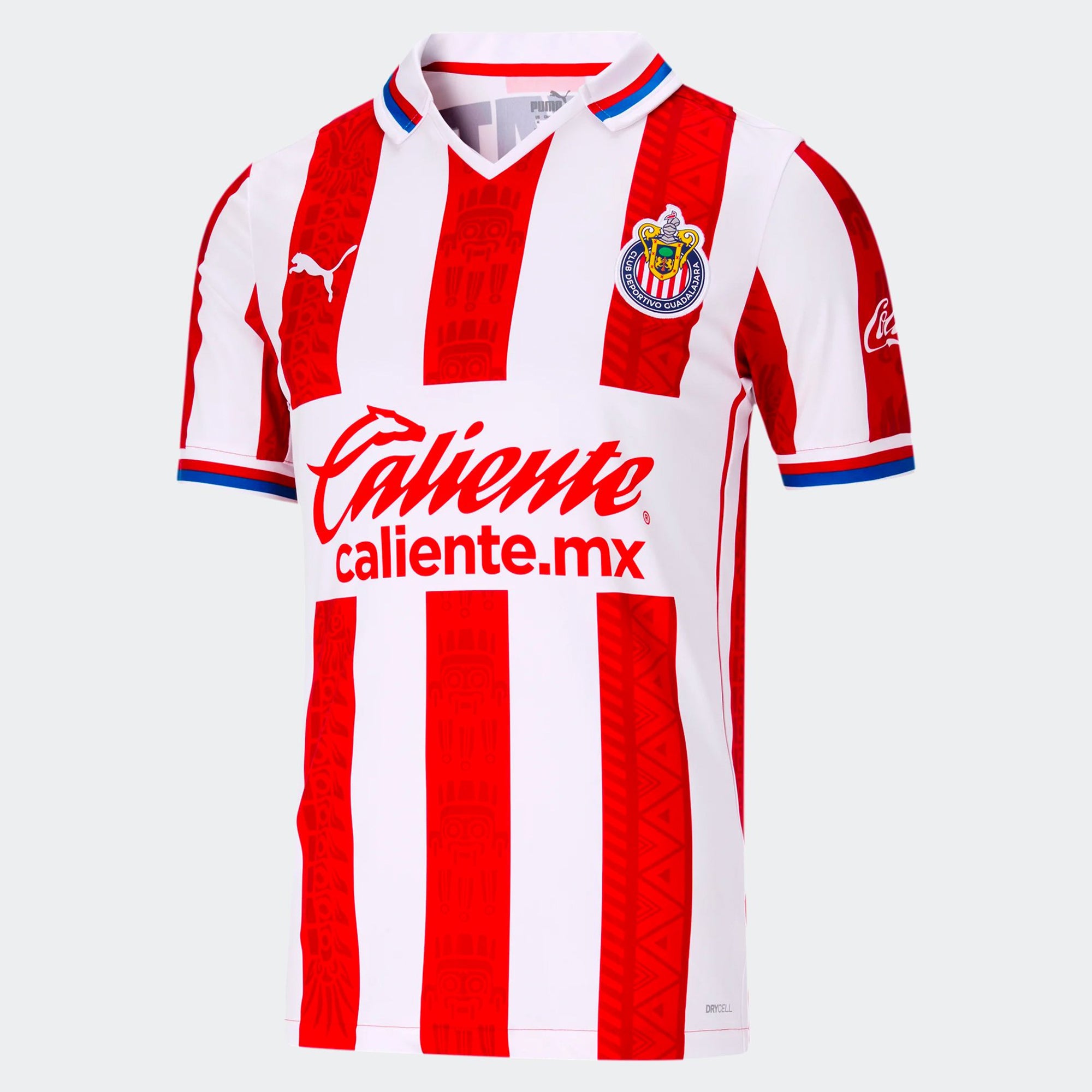 chivas goalkeeper jersey