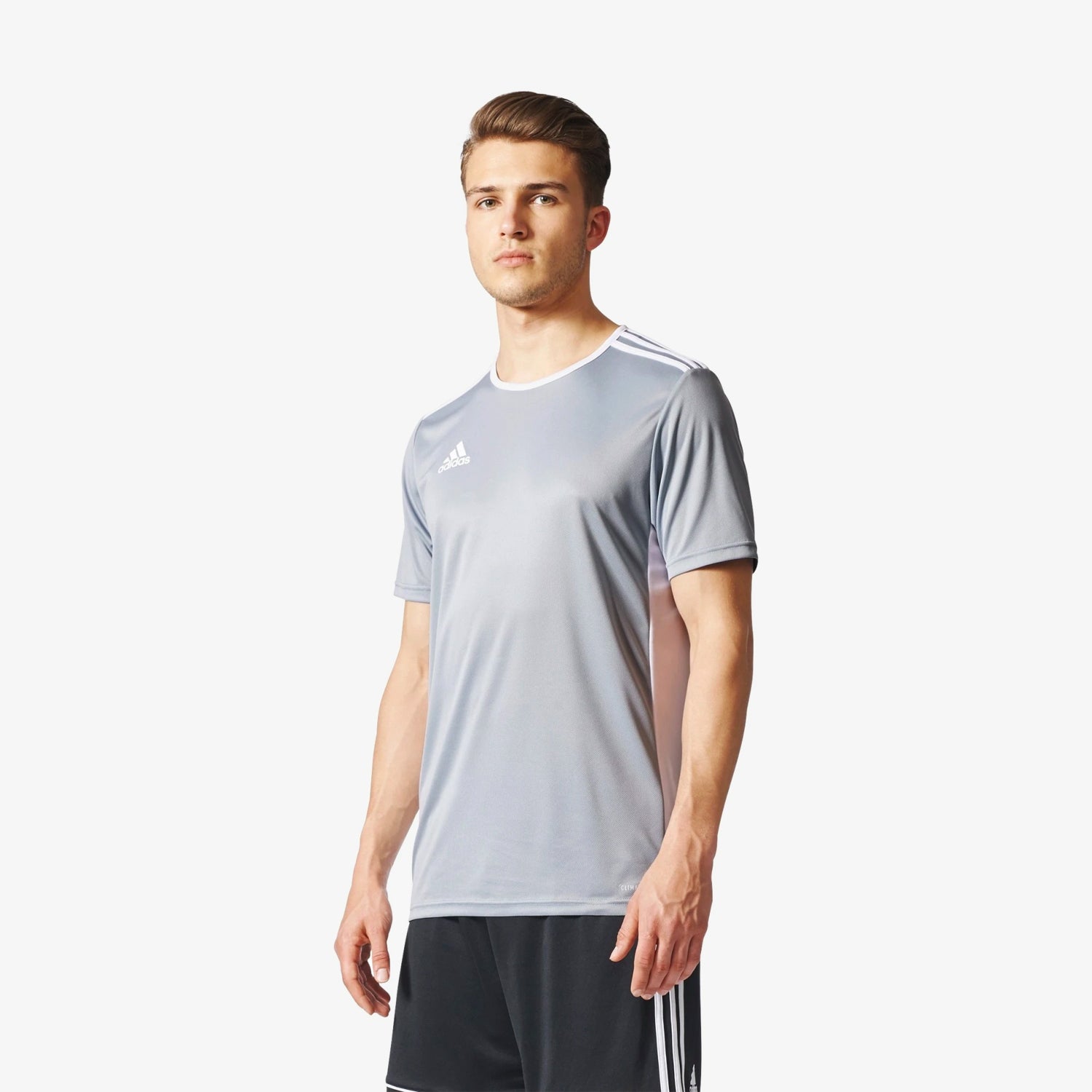 Entrada 18 Training Jersey Silver Men's