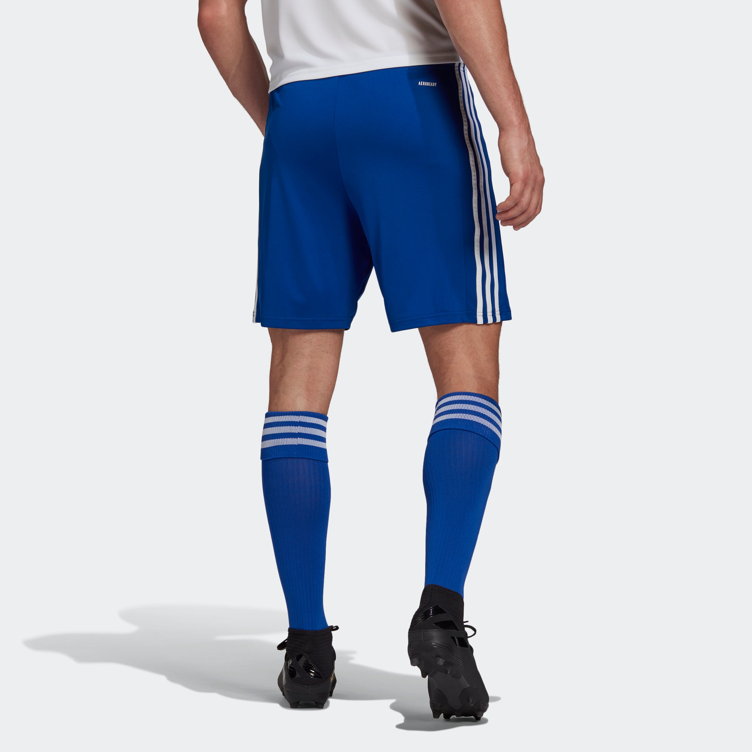 adidas Squadra 21 Shorts - Royal Blue/White