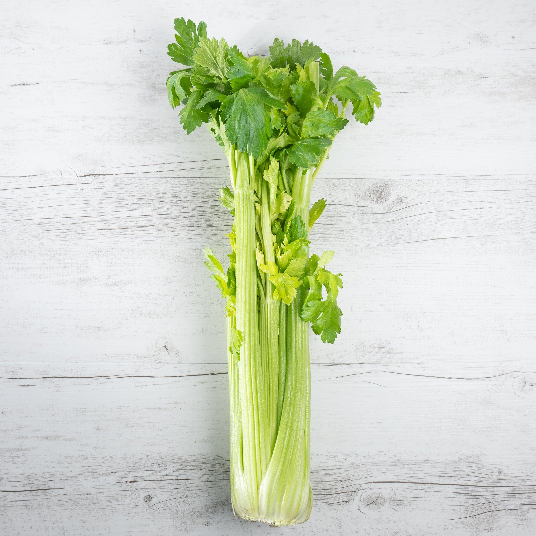 is celery a vegetable or fruit