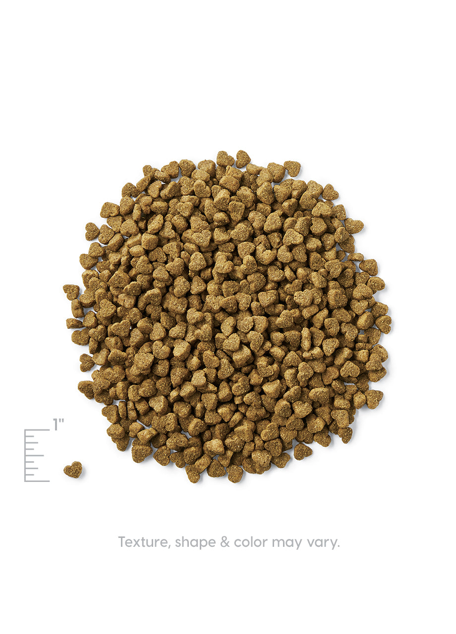 Solid Gold Wee Bit Bison & Brown Rice Recipe Small Breed Dry Dog Food